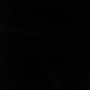 Meet your Posher, Darrell